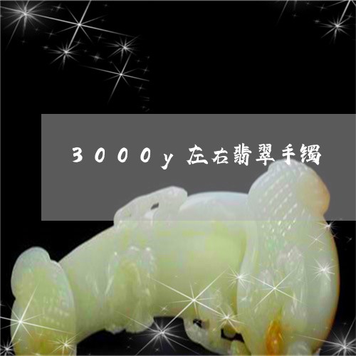 3000y左右翡翠手镯/2023070866159