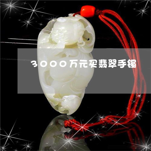 3000万元买翡翠手镯/2023070852705