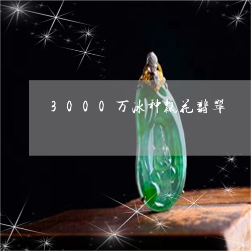 3000万冰种飘花翡翠/2023070821493