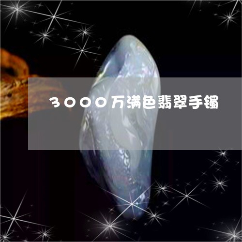 3000万满色翡翠手镯/2023070868361