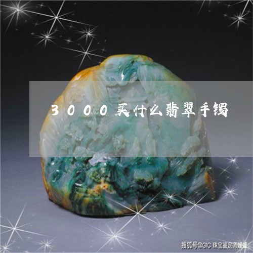 3000买什么翡翠手镯/2023070833825