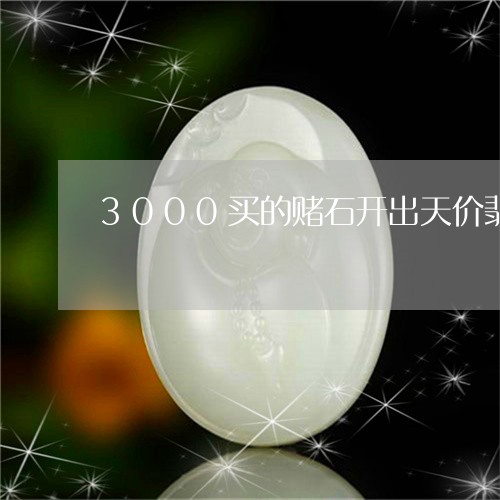 3000买的赌石开出天价翡翠/2023112569403