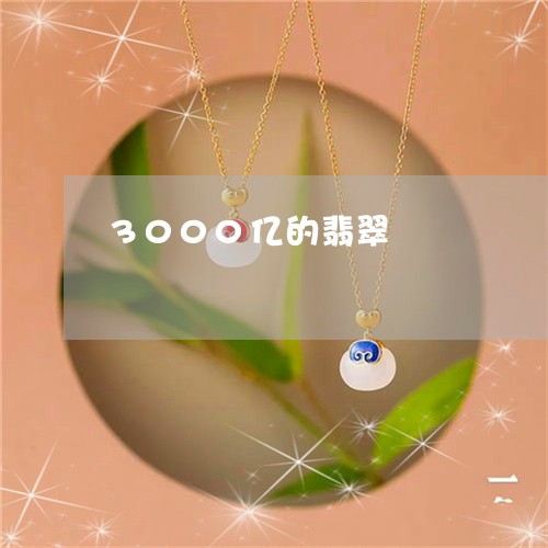 3000亿的翡翠/2023100666470