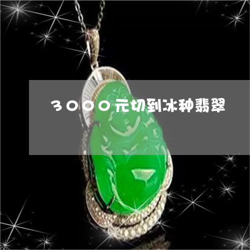 3000元切到冰种翡翠/2023070811624