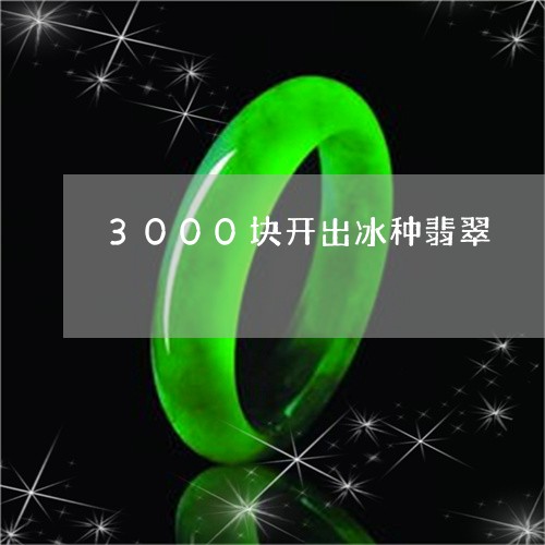 3000块开出冰种翡翠/2023070830793