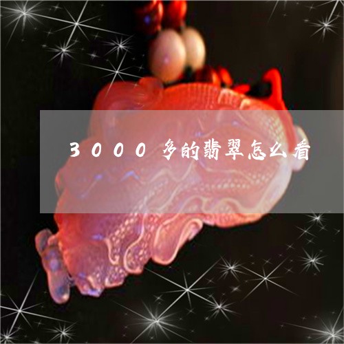 3000多的翡翠怎么看/2023070944030