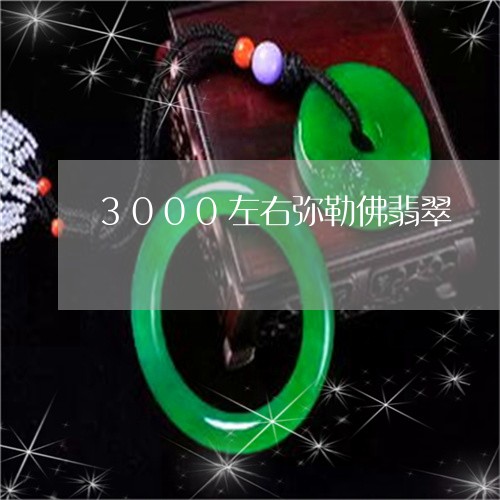 3000左右弥勒佛翡翠/2023070926179