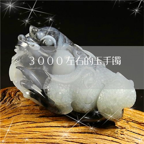 3000左右的玉手镯/2023041185137