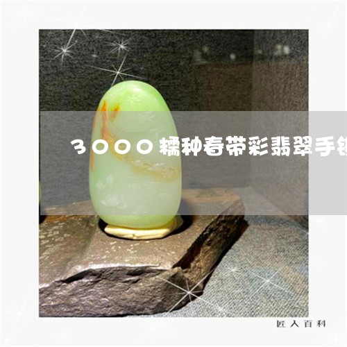 3000糯种春带彩翡翠手镯/2023100620583