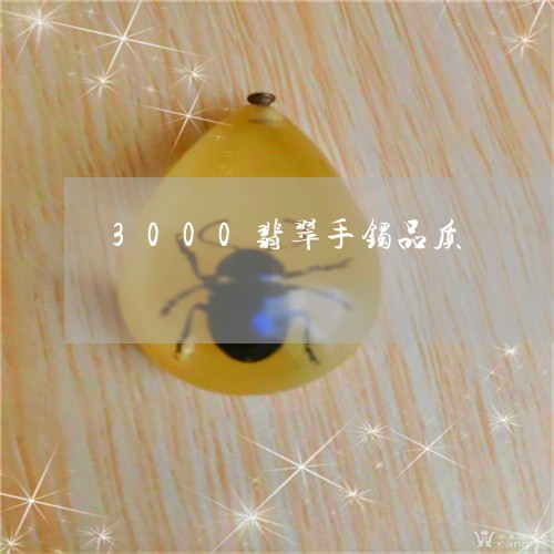 3000翡翠手镯品质/2023041123025