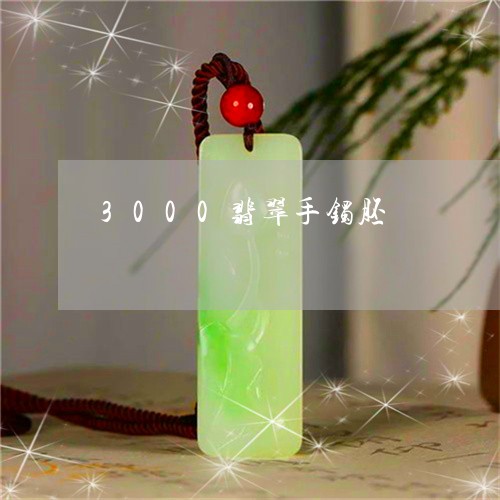 3000翡翠手镯胚/2023112451506