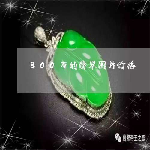 300万的翡翠图片价格/2023070926147