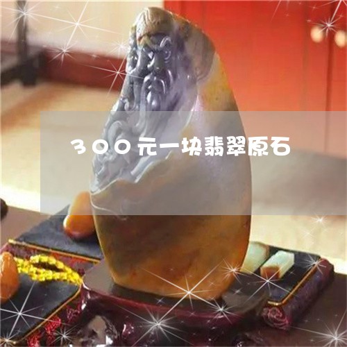 300元一块翡翠原石/2023041144938