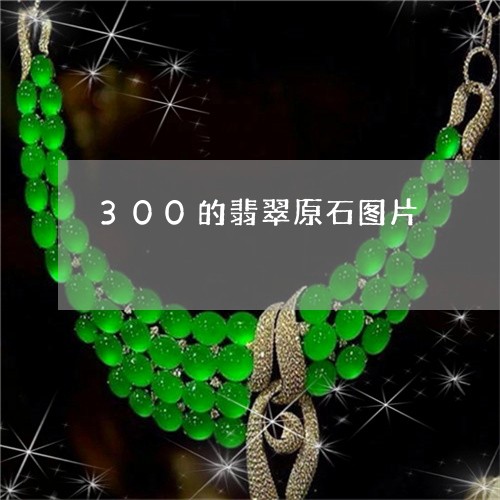 300的翡翠原石图片/2023041186160