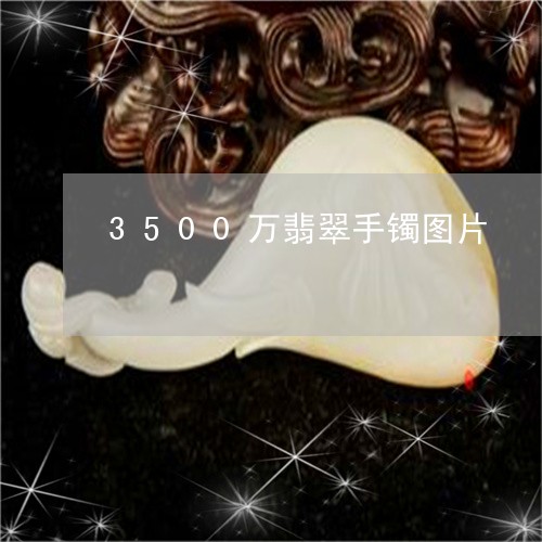 3500万翡翠手镯图片/2023070961735