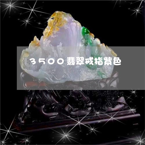 3500翡翠戒指紫色/2023041126137