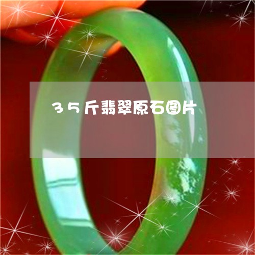 35斤翡翠原石图片/2023040177071