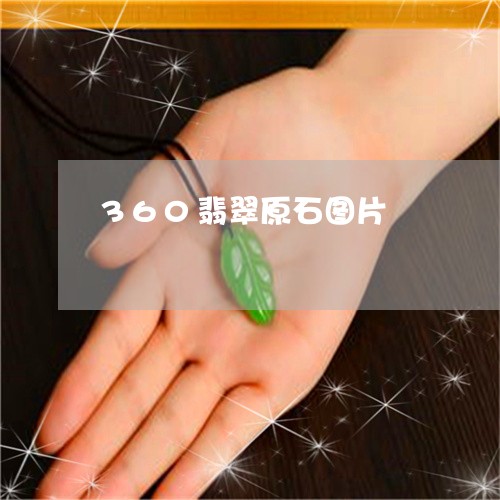 360翡翠原石图片/2023040124824