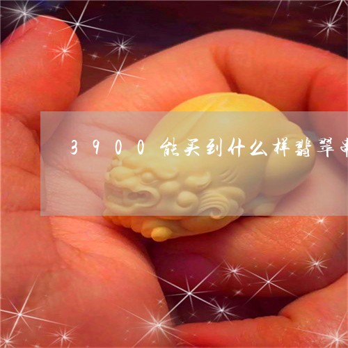 3900能买到什么样翡翠串/2023100650735