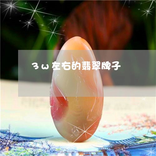 3w左右的翡翠牌子/2023040156279