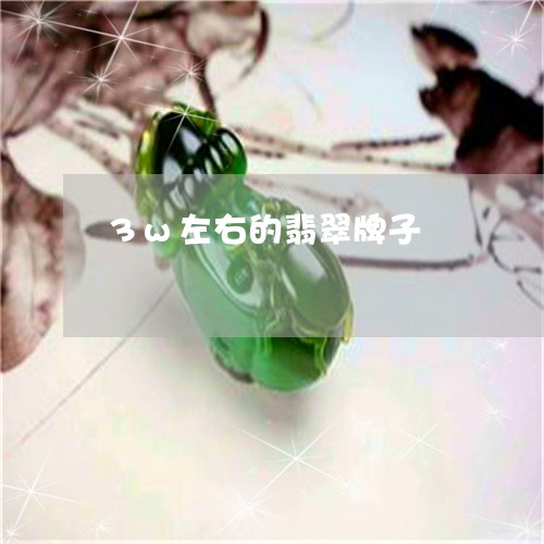 3w左右的翡翠牌子/2023040194038