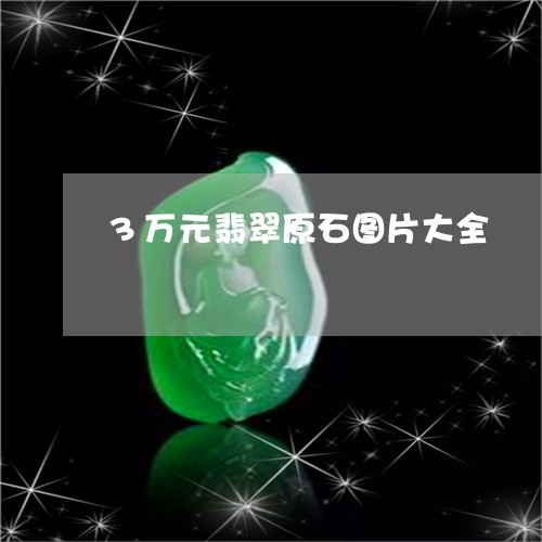 3万元翡翠原石图片大全/2023070952715