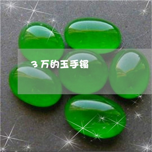 3万的玉手镯/2023080188261