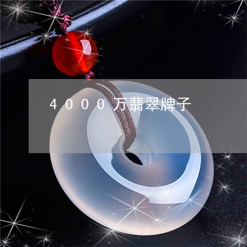 4000万翡翠牌子/2023033106069