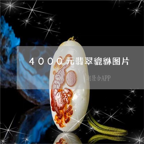 4000元翡翠貔貅图片/2023070893826