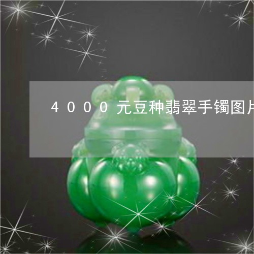 4000元豆种翡翠手镯图片/2023100676268