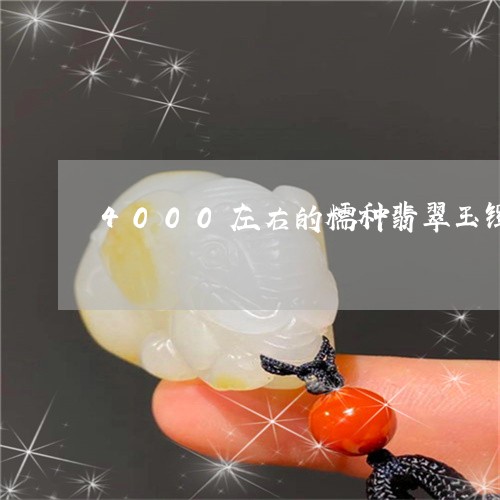 4000左右的糯种翡翠玉镯/2023100612047