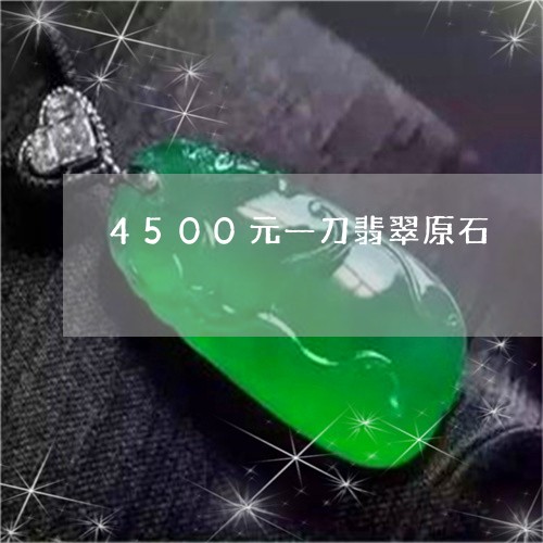 4500元一刀翡翠原石/2023070808373