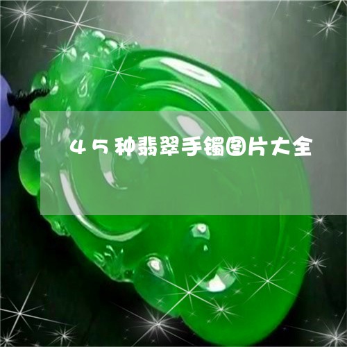 45种翡翠手镯图片大全/2023070852794