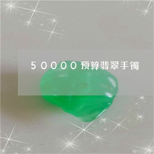 50000预算翡翠手镯/2023070972734