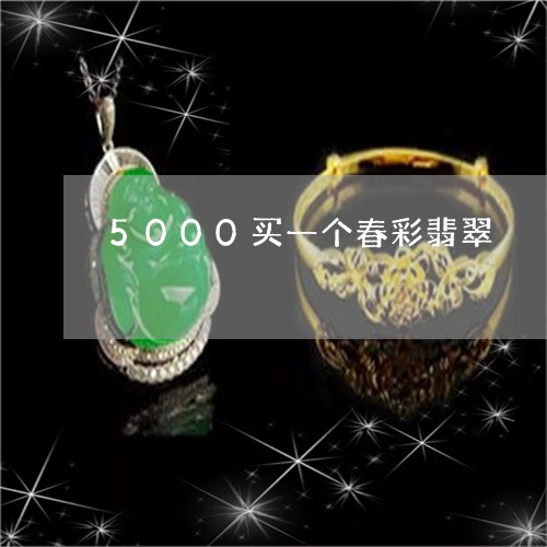 5000买一个春彩翡翠/2023070987469