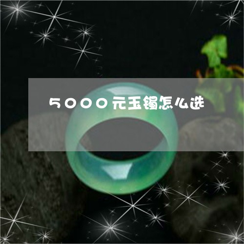 5000元玉镯怎么选/2023051246269