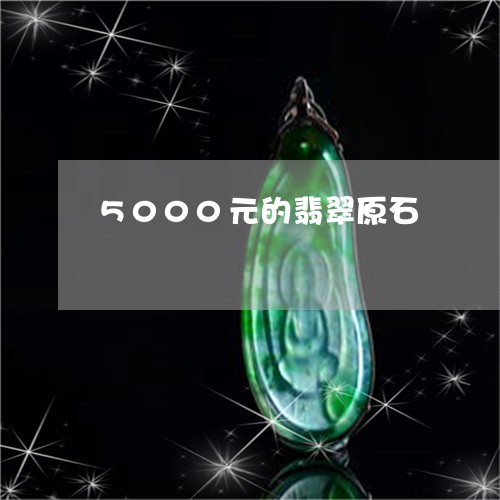 5000元的翡翠原石/2023082671595