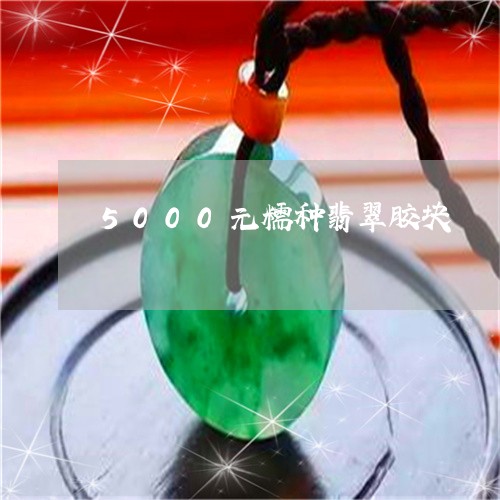 5000元糯种翡翠胶块/2023070993937