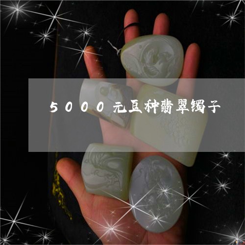 5000元豆种翡翠镯子/2023070950263