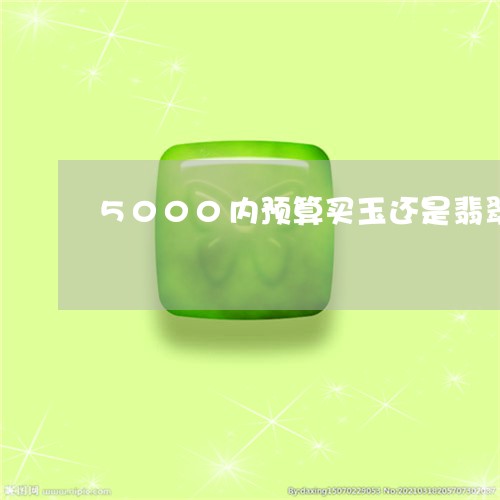 5000内预算买玉还是翡翠/2023112437362