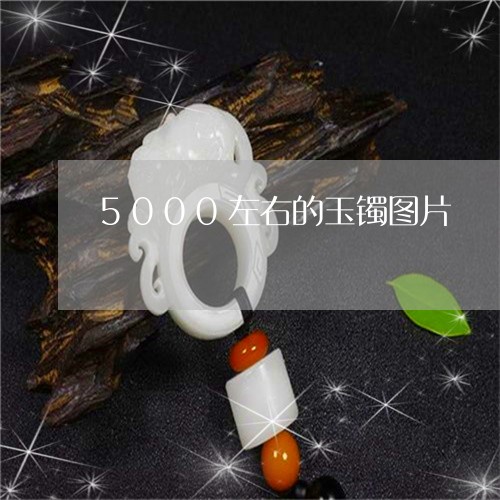 5000左右的玉镯图片/2023070970482