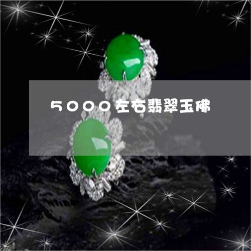 5000左右翡翠玉佛/2023041063825