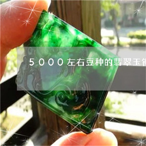 5000左右豆种的翡翠玉镯/2023100693504