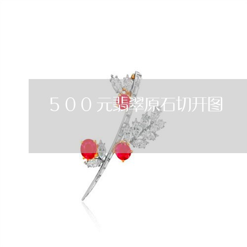 500元翡翠原石切开图/2023070994925