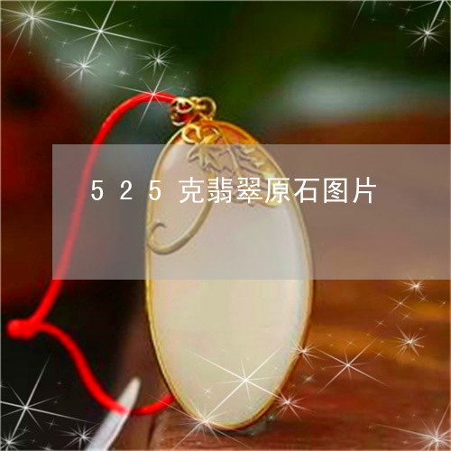 525克翡翠原石图片/2023041028461