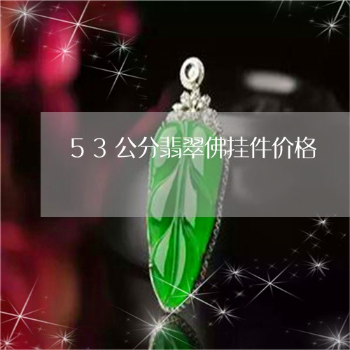 53公分翡翠佛挂件价格/2023070906351