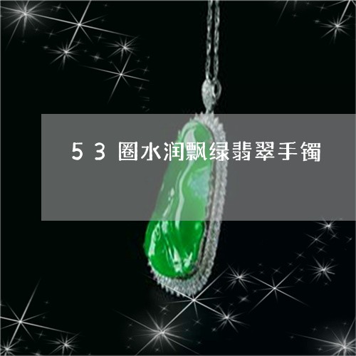 53圈水润飘绿翡翠手镯/2023070938471