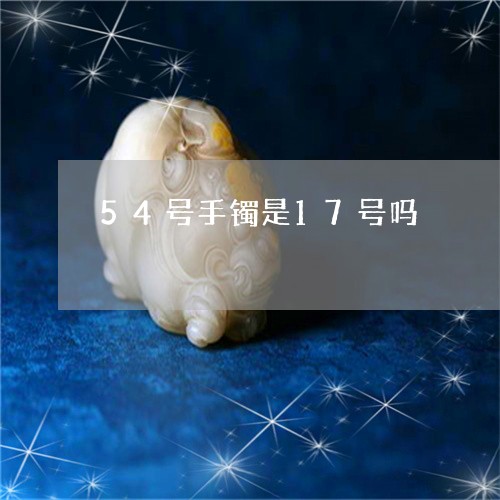 54号手镯是17号吗/2023051201816