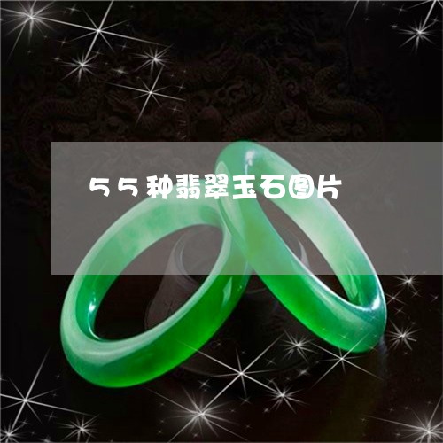 55种翡翠玉石图片/2023033171613