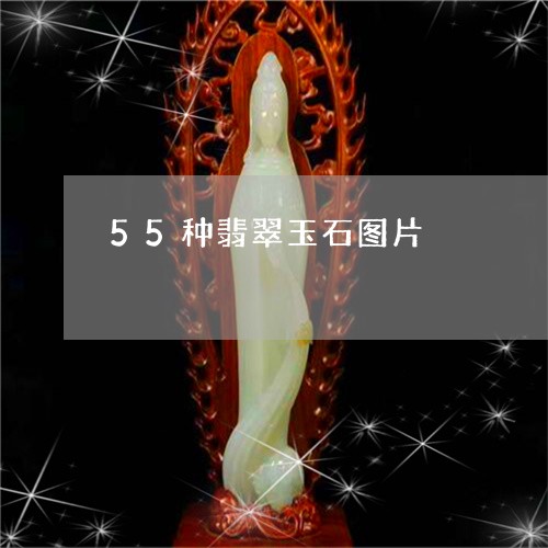 55种翡翠玉石图片/2023033188481